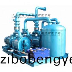 2BE203水環真(zhen)空機(ji)組(zu)